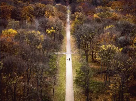  ?? Fotos: Sophia Kembowski, Paul Zinken/beide dpa ?? So schön ist der Tiergarten von oben. Im Sommer war das etwa 200 Hektar große Gebiet derart von Kriminalit­ät geprägt, dass ihn viele Berliner mieden. Inzwischen ist in dem Park wieder etwas Ruhe eingekehrt.