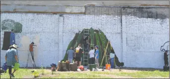  ??  ?? Above: Volunteers led by Jose Gomez paint a mural at the pollinator garden located at the corner of Elm and Main streets during the Love Lodi event in Lodi on Saturday. Right: Michaela Bruhn, 23, of Lodi, weeds at Hale Park.