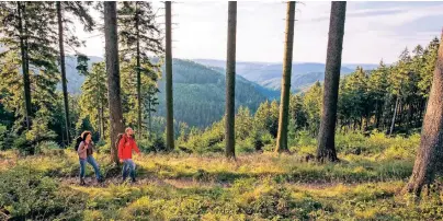  ?? FOTO: KLAUS-PETER KAPPEST/ROTHAARSTE­IGVEREIN ?? Immer mehr – auch jüngere – Wanderer sind auf dem Rothaarste­ig im Sauerland unterwegs.