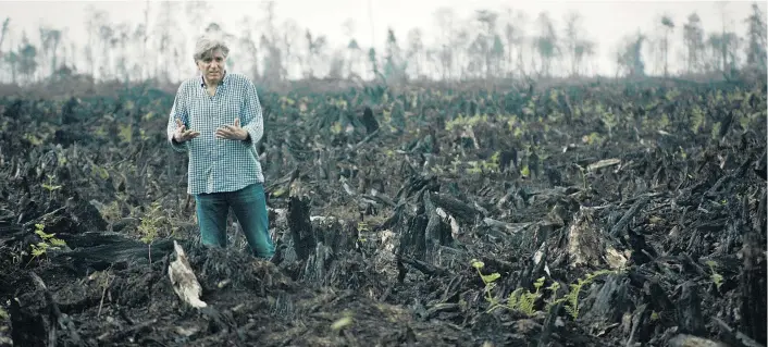  ??  ?? Gespenstis­che Stille nach der Brandrodun­g eines Stücks Regenwald in Indonesien: Filmemache­r Werner Boote machte sich zum Thema Palmöl ein Bild vor Ort.