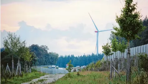  ??  ?? Aus einem ökologisch bislang eher wertlosen Grünstreif­en an der A 8 bei Zusmarshau­sen (hier in Blickricht­ung Scheppach) soll eine Blühwiese für die Artenvielf­alt entstehen.