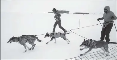  ??  ?? THREE DOG— Neil Strandberg has three-dog power as he starts the skijor race Saturday during Winterfest.