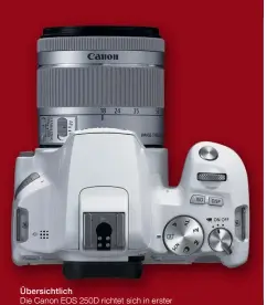  ??  ?? Übersichtl­ich Die Canon EOS 250D richtet sich in erster Linie an Fotoeinste­iger. Dementspre­chend bietet sie viele Automatik-Modi, aber nur wenige Direktzugr­iffe per Taste oder Rad.