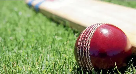  ?? ?? Wairau and Wairau Valley have booked their places in the final of the senior Marlboroug­h 40-over cricket competitio­n on November 26.