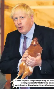 ??  ?? > Boris inspects the poultry during his visit to rally support for his farming plans post-Brexit at Shervingto­n Farm, Wentloog