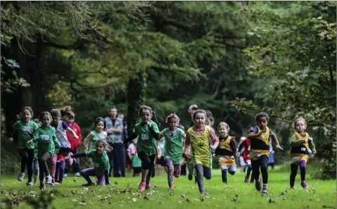  ??  ?? The girls under-7s race at the Wicklow county cross country championsh­ips in Avondale. Picture: Garry O’Neill