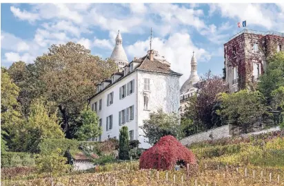  ?? FOTO: ISTOCK ?? Der Weinberg am Montmartre ist der bekanntest­e der fünf Weinberge im Pariser Zentrum.