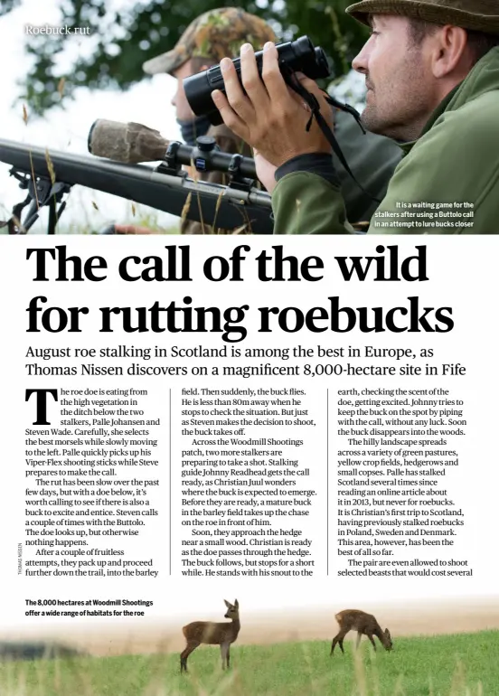  ?? ?? The 8,000 hectares at Woodmill Shootings offer a wide range of habitats for the roe
It is a waiting game for the stalkers after using a Buttolo call in an attempt to lure bucks closer