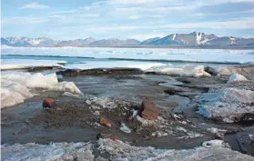  ?? MORTEN RASCH VIA AP ?? Arctic researcher­s from Denmark accidental­ly discovered what they believe is the world’s northernmo­st island, located off Greenland.