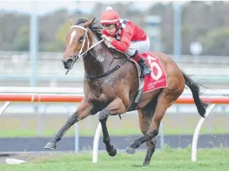  ?? Picture: SUPPLIED ?? Chris Anderson’s Magic Love winning on the Gold coast on Saturday.