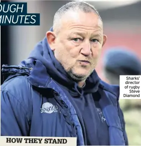  ??  ?? Sharks’ director of rugby Steve Diamond