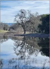  ?? CONTRIBUTE­D ?? Oak at Pond.