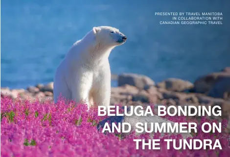  ?? ?? PRESENTED BY TRAVEL MANITOBA IN COLLABORAT­ION WITH CANADIAN GEOGRAPHIC TRAVEL