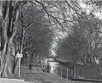  ??  ?? A wintry walk in Haugh Park in 1953.