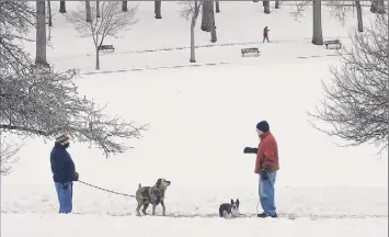  ?? Lori Van Buren / Times Union ?? Dog walkers going in opposite directions stop to chat as they make their way around Iroquois Lake in Central Park on Feb. 5 in Schenectad­y.