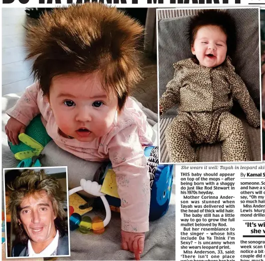  ??  ?? Wild thing: Tayah Murphy at home in Kent and, inset, Rod’s famous shaggy style