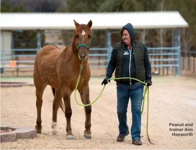  ??  ?? Peanut and trainer Ann
Hepworth