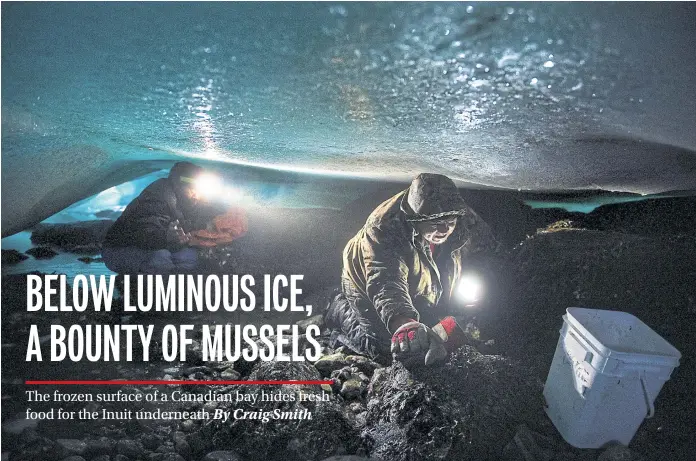  ??  ?? BREAKING THE ICE: Adami Alaku and Tiisi Qisiiq collect mussels under the sea ice near Kangiqsuju­aq, Nunavik, Quebec. When the winter tide goes out, some Inuit clamber into ice caves to harvest fresh food.