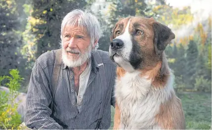 ?? DISNEY ?? El actor estadounid­ense Harrison Ford (Thorton) y el perro Buck viven una serie de aventuras que les cambia la vida.