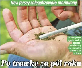  ??  ?? W New Jersey będzie można posiadać marihuanę, ale nie wolno hodować jej w domu