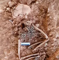  ??  ?? Above: Grave 17, a female adult adorned with a pair of copper-alloy annular brooches and a pin which would have fastened a dress and outer garment; copper-alloy staining and remains of wrist clasps can be seen at the wrist area
