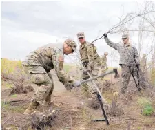  ?? CAITLIN O’HARA /THE WASHINGTON POST ?? National Guardsmen clear brush near the Andrade port of entry in California, a job usually done by Border Patrol officers.