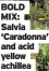  ?? ?? BOLD MIX: Salvia ‘Caradonna’ and acid yellow achillea