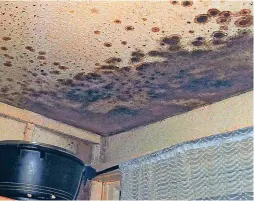  ?? ?? ●●Some of the damp and mould which had plagued the flat where Awaab lived