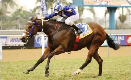  ?? PICTURE: Gold Circle ?? GRADE 1 DOUBLE. Bull Valley scores his second Graded win as he beats Search Party in the Mercury Sprint at Greyville on Saturday.