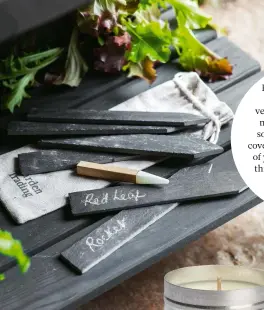  ??  ?? From this month you can start preparing vegetable seed beds, and may even get round to sowing some veg under cover, so scribble the names of your fledgling crops on this handy set of six slate plant tags, £12 from Garden Trading.