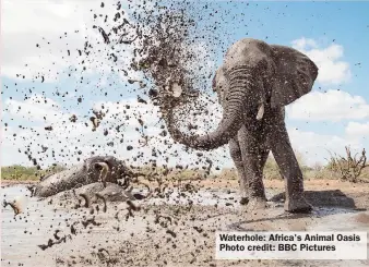  ??  ?? Waterhole: Africa's Animal Oasis Photo credit: BBC Pictures