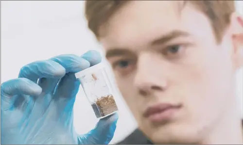  ?? PICTURES: KATE MALLENDER. ?? WEB APPLICATIO­N: Zoology student Ryan Stringer with one of the Desertas wolf spiders, one of the world’s most endangered species.