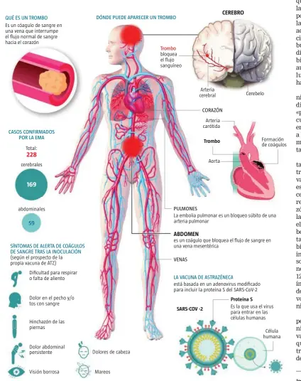  ?? Infografía A. C. / J. L. M. / LA RAZÓN ?? Fuente: elaboració­n propia. Imagen de Dreamstime