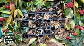  ??  ?? Our festive ‘five-star’ bug hotel