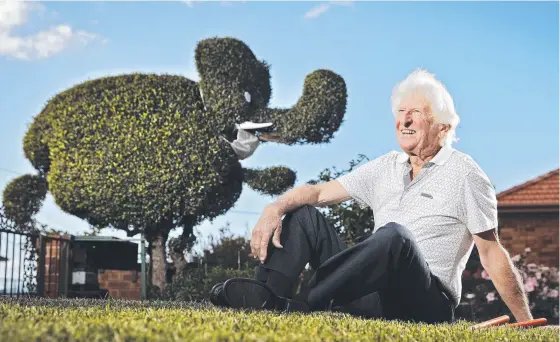  ??  ?? John Knobel at his Matraville home with his "Covid-safe elephant hedge" that he has shaped during the lockdown. Picture: Sam Ruttyn