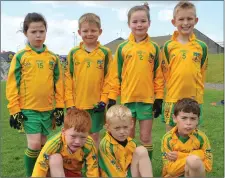  ??  ?? Stabannon Parnells U-7s.