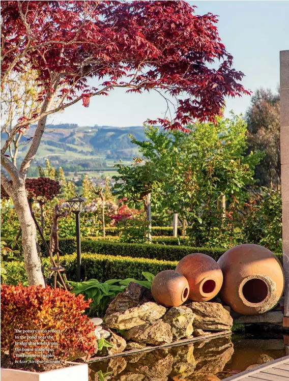  ??  ?? The pottery urns reflect in the pond near the bridge that leads from the house to the spa.
The Japanese maple is Acer ‘Atropurpur­eum’.