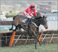  ?? PICTURE: DAVID DAVIES/PA WIRE ?? VICTORY BECKONS: Kilbricken Storm clears the last before winning Cheltenham’s Albert Bartlett Novices’ Hurdle.