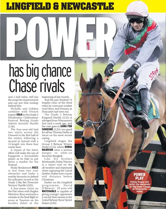  ??  ?? POWER PLAY
Petite Power will relish the demands of the Eider Chase at Newcastle today