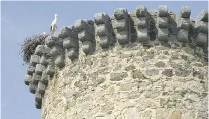  ?? ?? Auf den Zinnen der Burg haben Störche ihr Nest gebaut.