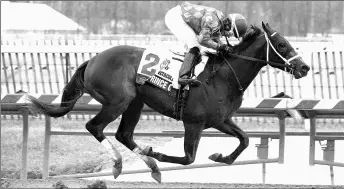  ?? JIM MCCUE/MARYLAND JOCKEY CLUB ?? Prince of Jericho wins the Spectacula­r Bid Stakes over Coffeewith­chris on Jan. 21 at Laurel.