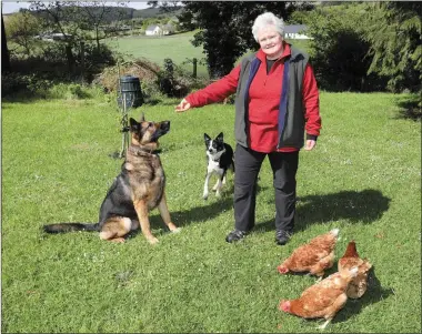  ??  ?? Animal welfare advocate Susan Fitzgearld at her home in Geevagh at the weekend.