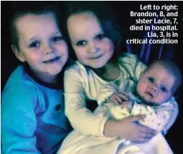  ??  ?? Left to right: Brandon, 8, and sister Lacie, 7, died in hospital. Lia, 3, is in critical condition