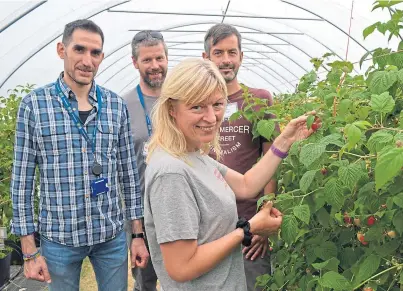  ??  ?? HI-TECH HARVESTING: From left, Luca Scolari, Matt Aitkenhead, Nikki Jennings and Peter Melis at the event