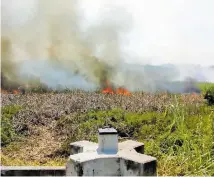  ?? ILUSTRATIV­A ?? VERACRUZ, Ver.- Los invasores queman pastizales cerca de tubos activos de Pemex/FOTO