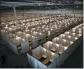  ?? THE ASSOCIATED PRESS ?? Cots fill Tecnopolis Park in Buenos Aires, Argentina. in 2020. The space that normally hosts museum exhibits and events served as a field hospital for coronaviru­s patients.