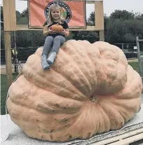  ??  ?? A young girl holding a normal pumpkin while sitting on the winner.