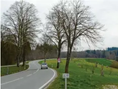  ?? Foto: Albert Eding ?? So sieht es derzeit an der Staatsstra­ße 2036 zwischen Lützelburg und Peterhof aus. Die aktuelle Planung sieht laut Naturschüt­zern geringere Abgrabunge­n für den Ausbau vor als bisher geplant.