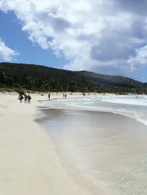  ??  ?? Flamenco Beach, on Culebra’s north shore, is stunning, with a resort at one end, a picnic grove at the other and nothing but sand in between .