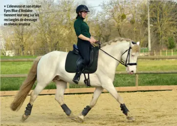  ??  ?? L’éleveuse et son étalon Eyes Blue d’Andaine tiennent leur rang sur les rectangles de dressage en niveau amateur.